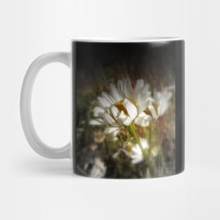 daisies Mug